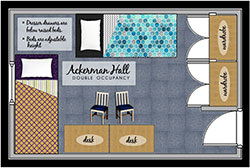 Icon Ackerman Double