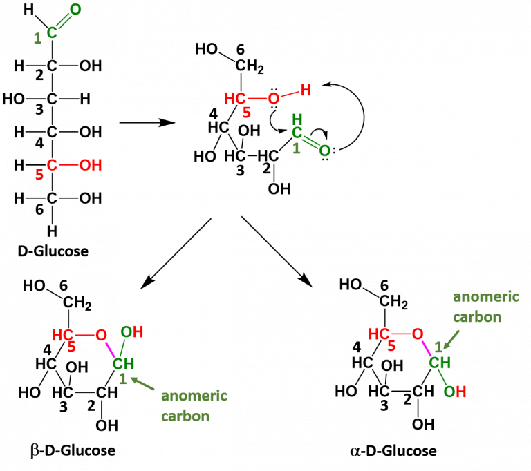 CH103 - Chapter 6: Natural Products and Organic Chemistry - Chemistry
