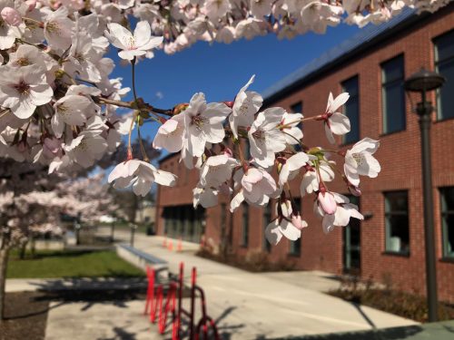 WOU wins grant funding to expand effort to diversify Oregon’s teaching force