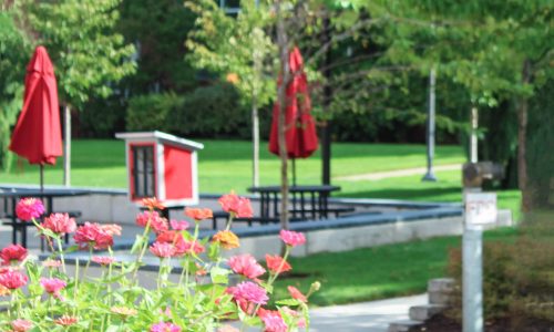 2021 Outstanding Student Awards in Community Health