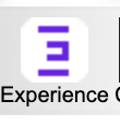 Experience Logo