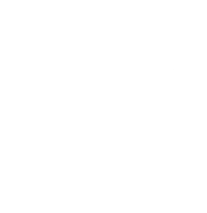 WordPress-logotype-wmark-white Wordpress logo