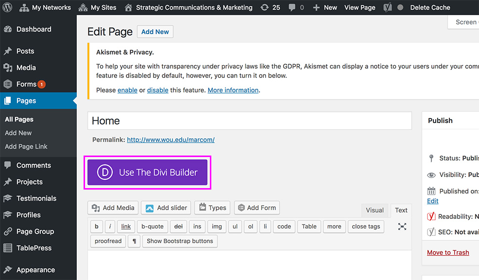 diviTemplate-09 Screenshot of the backend of a webpage in WordPress highlighting Use the Divi Builder