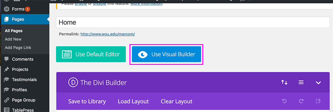 diviTemplate-13 Screenshot of the backend of a site in WordPress highlighting Use Visual Builder