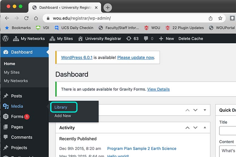 replace-pdf-1 screenshot that highlights the search bar with the pdf name