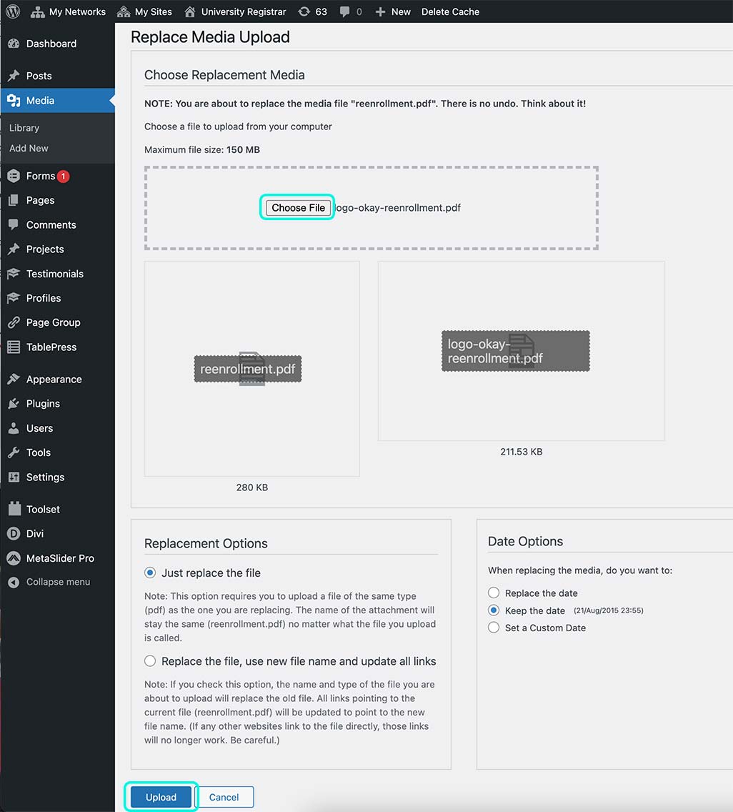replace-pdf-4 screenshot that highlights the choose file for uploading a new pdf