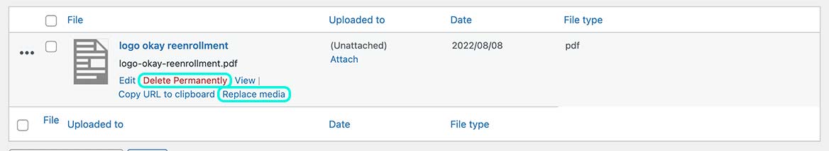 replace-pdf-5 screenshot that highlights the delete permanently or replace media