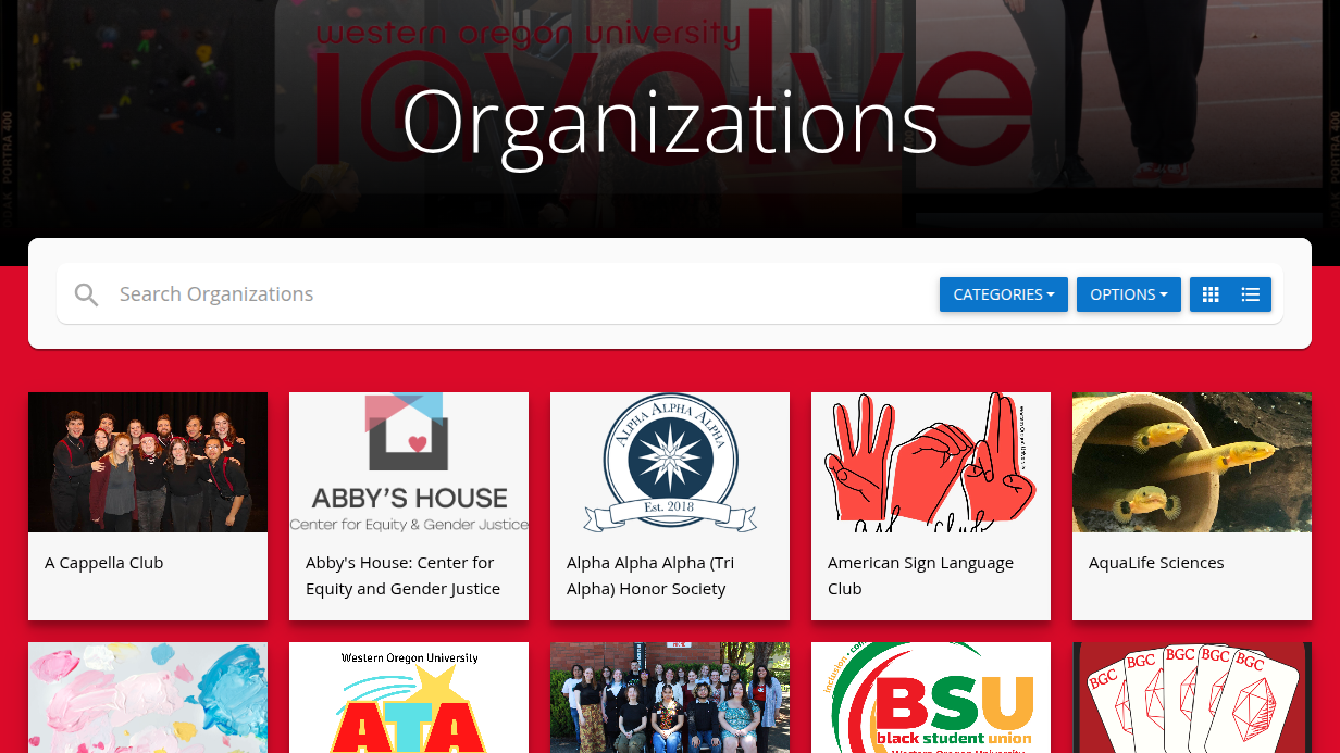 Organizations Page Example