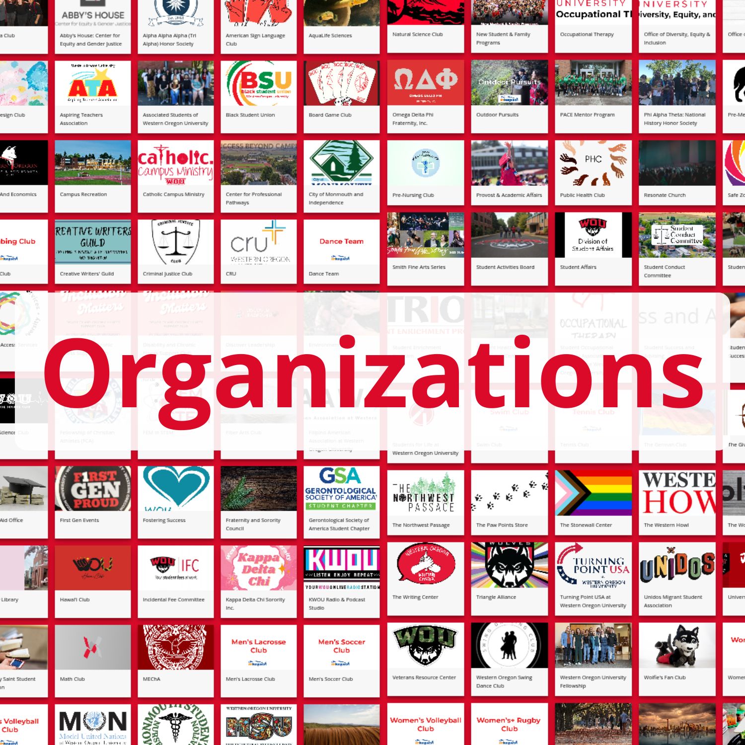 Organizations