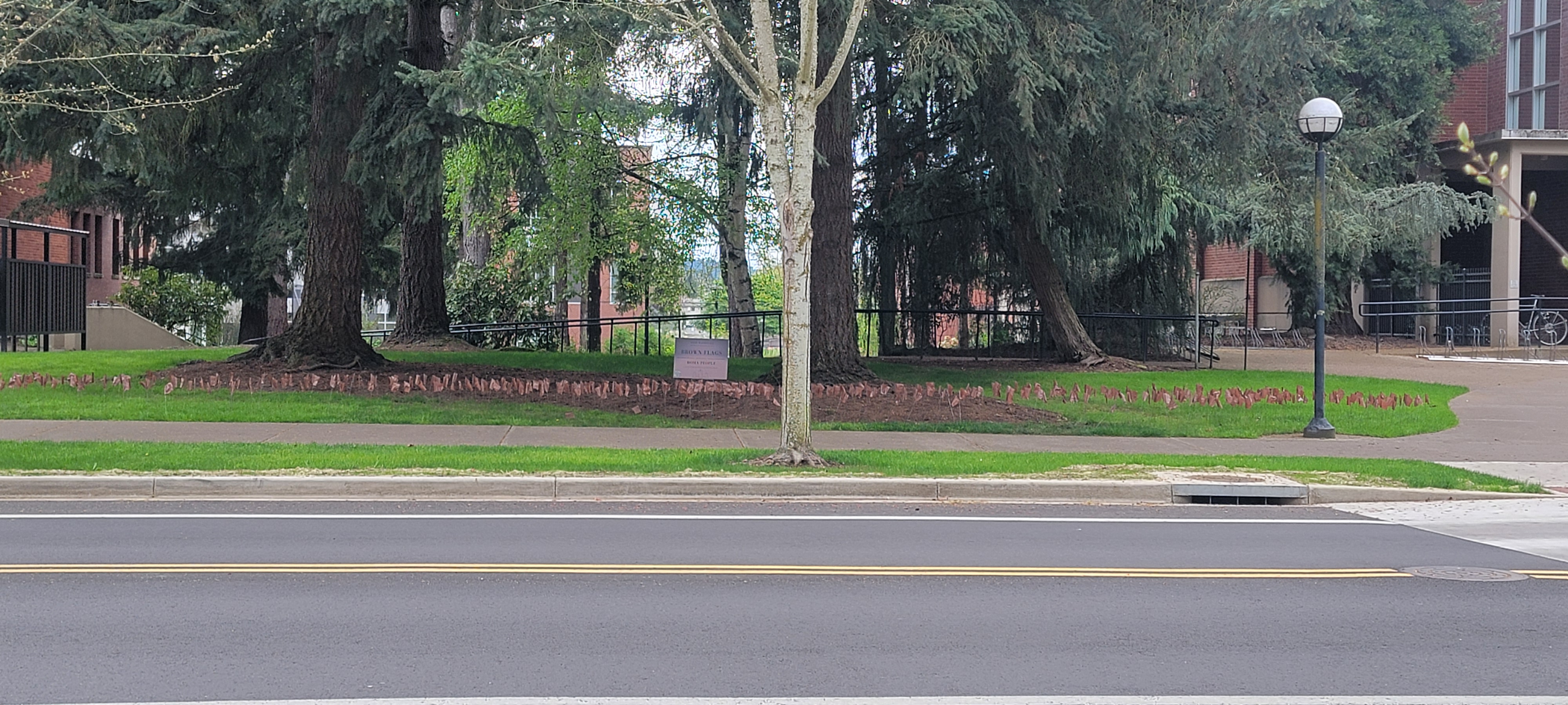 Brown flags