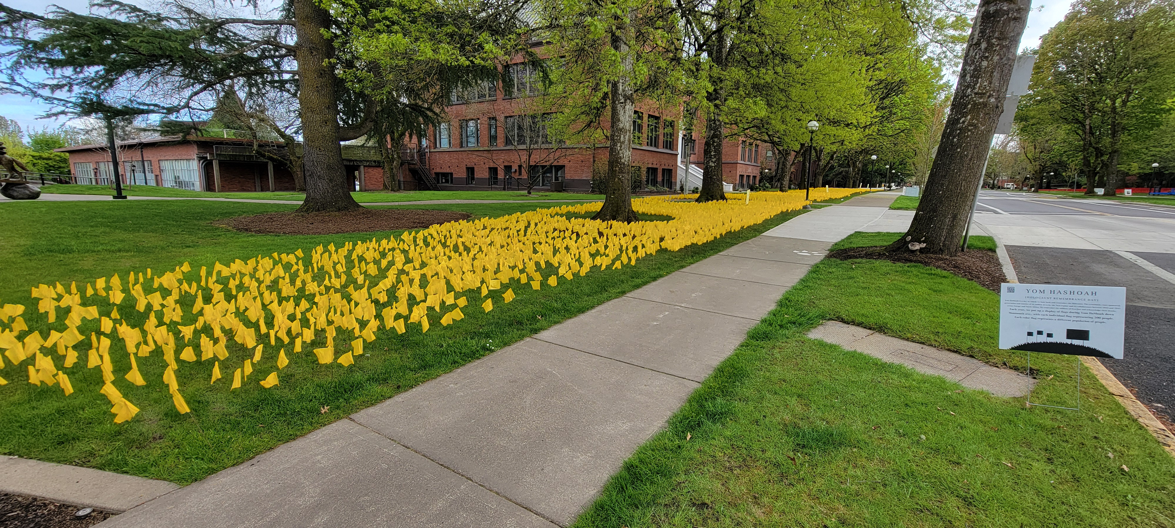 Big yellow flags