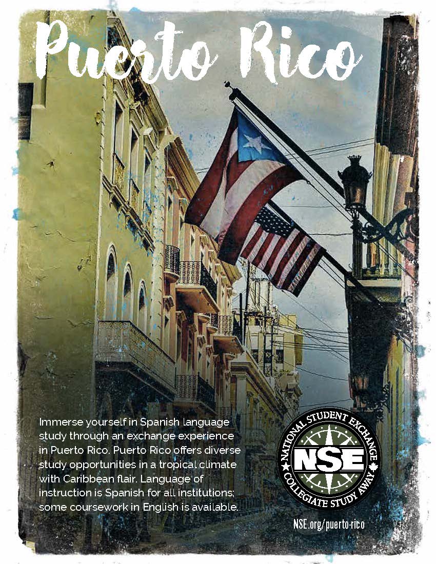 NSE Puerto Rico NSE Puerto Rico