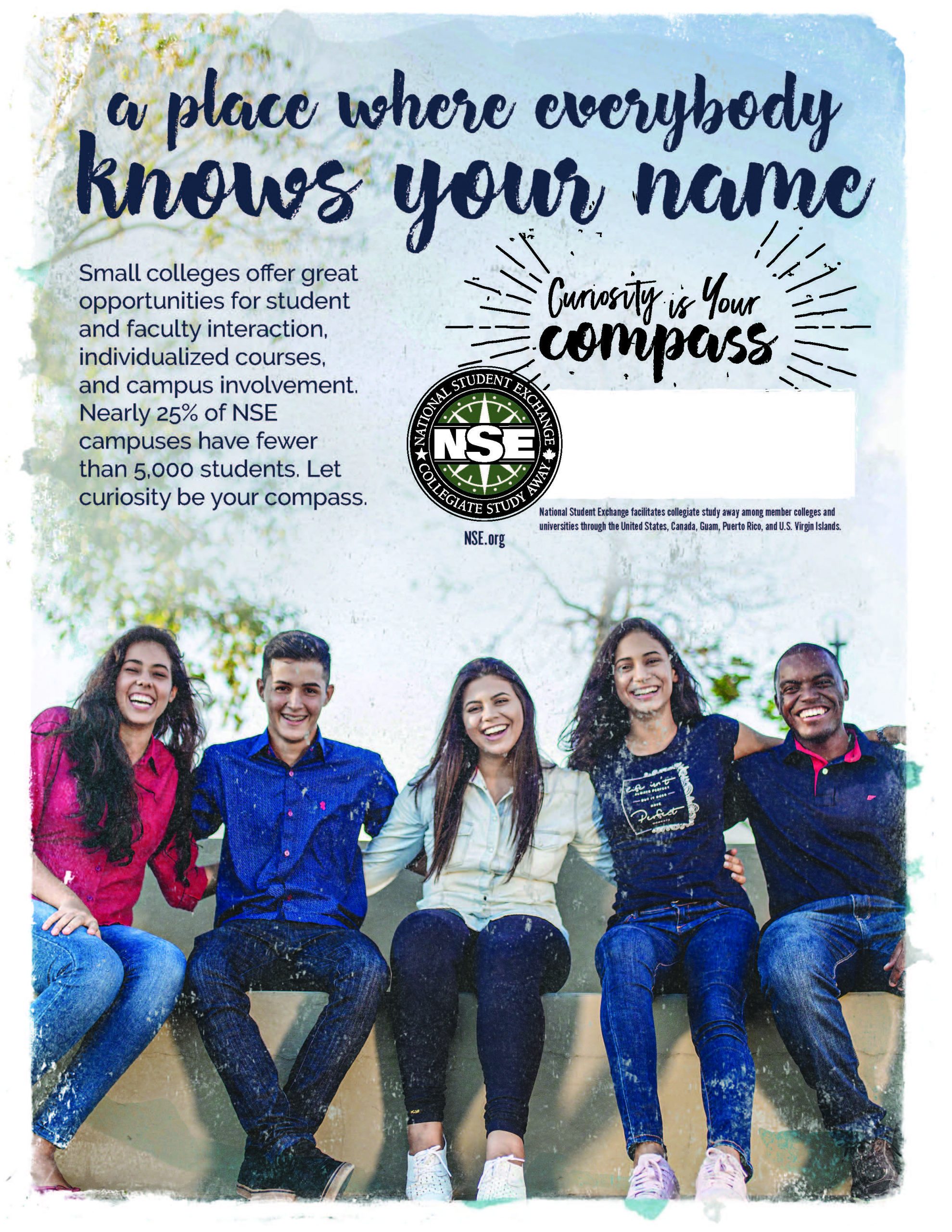 NSE Small College NSE Small College