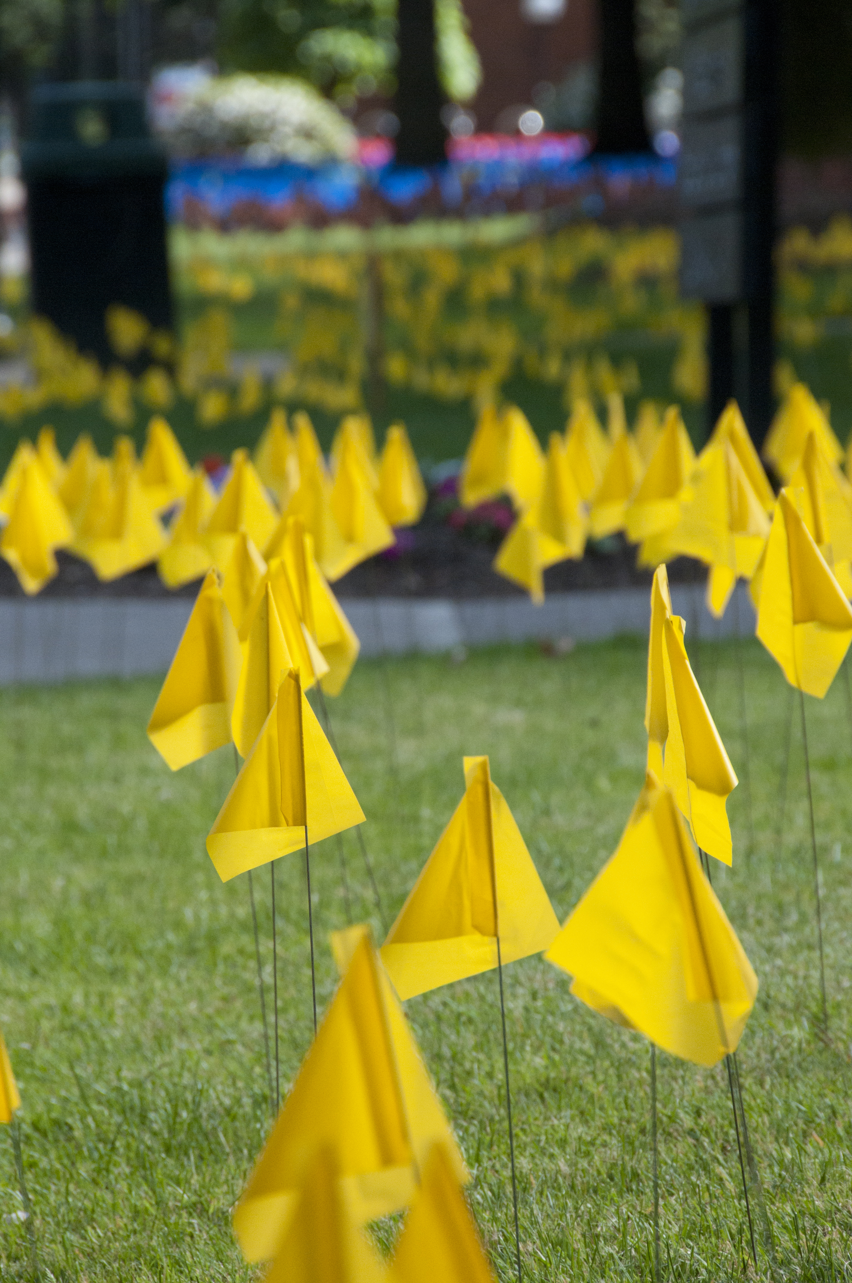 “Don’t forget, don’t ever forget”