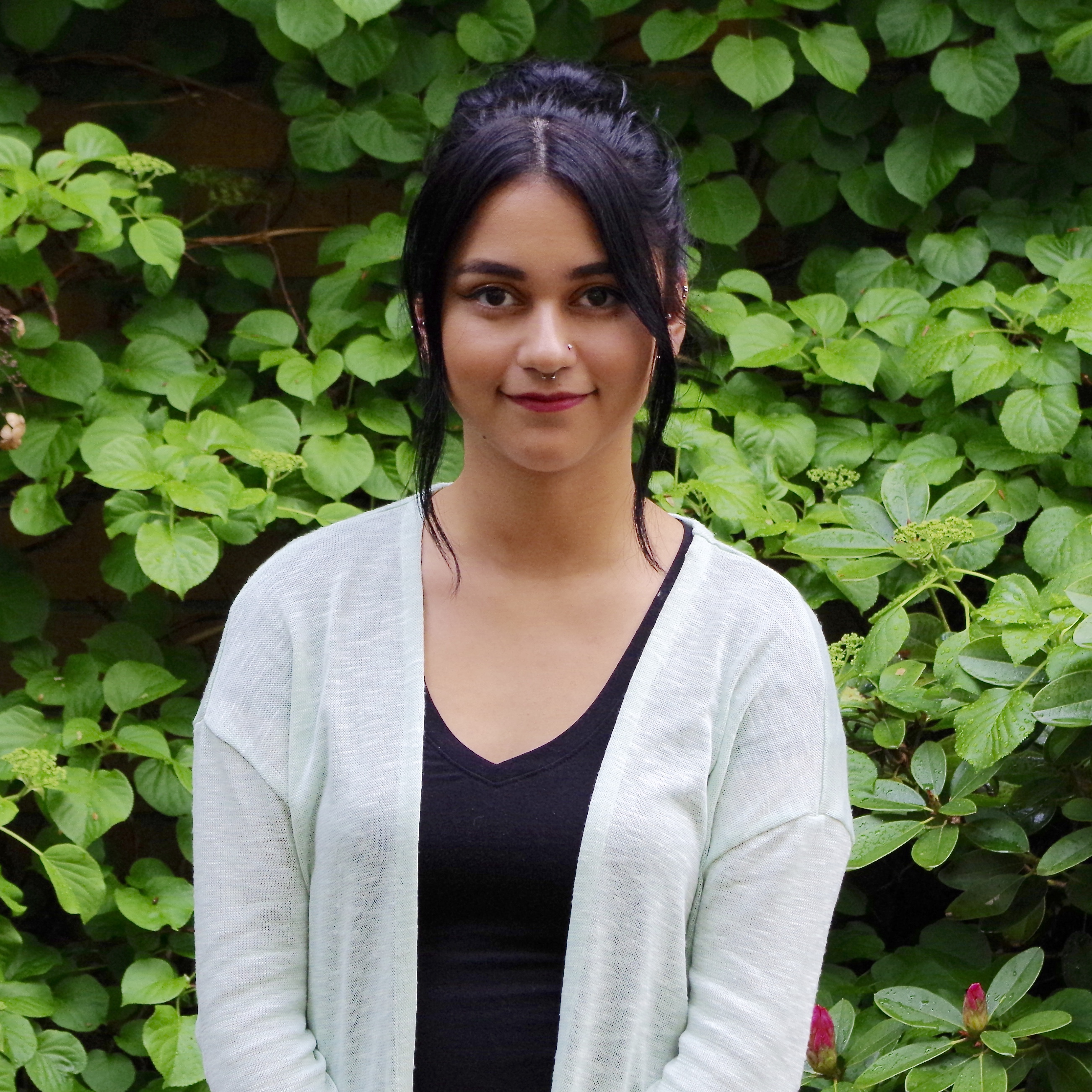 The final countdown to vote