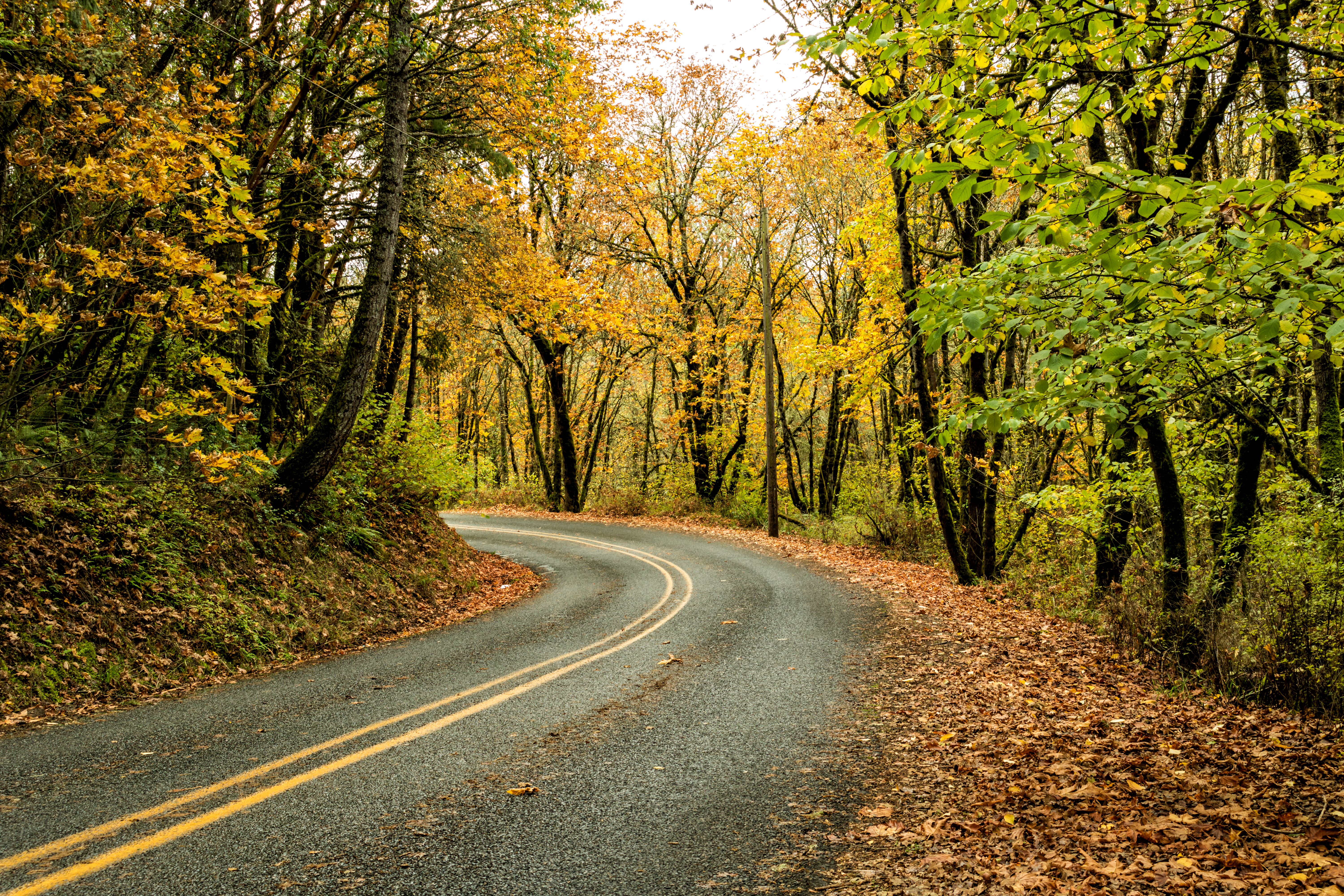 Getting festive for fall