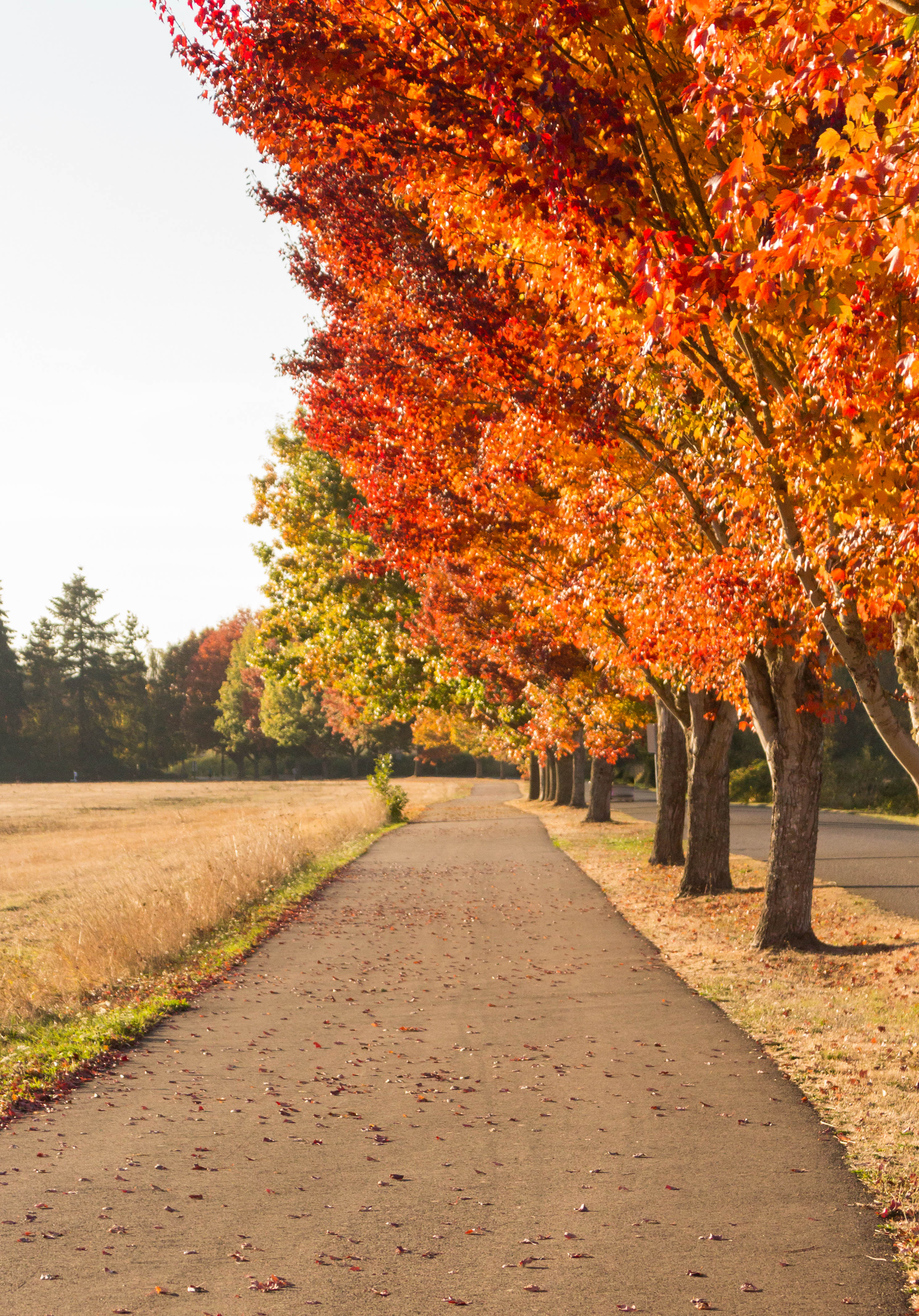 The best locations for fall photoshoots