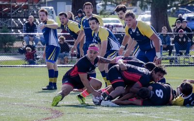 Leading by example, Club Sports Players of the Year