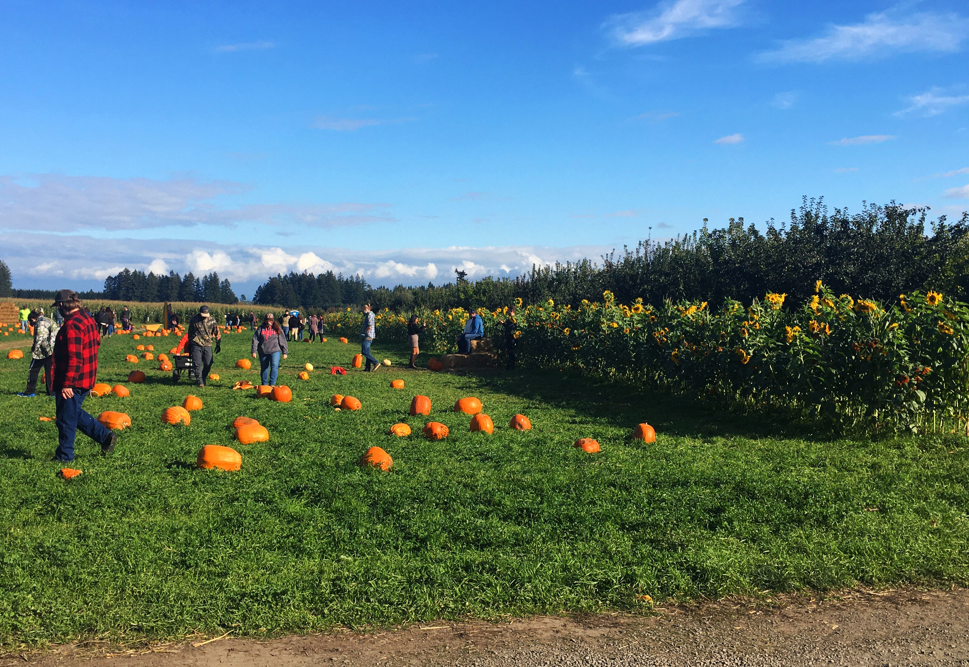 Have some skele-fun at these fall spots