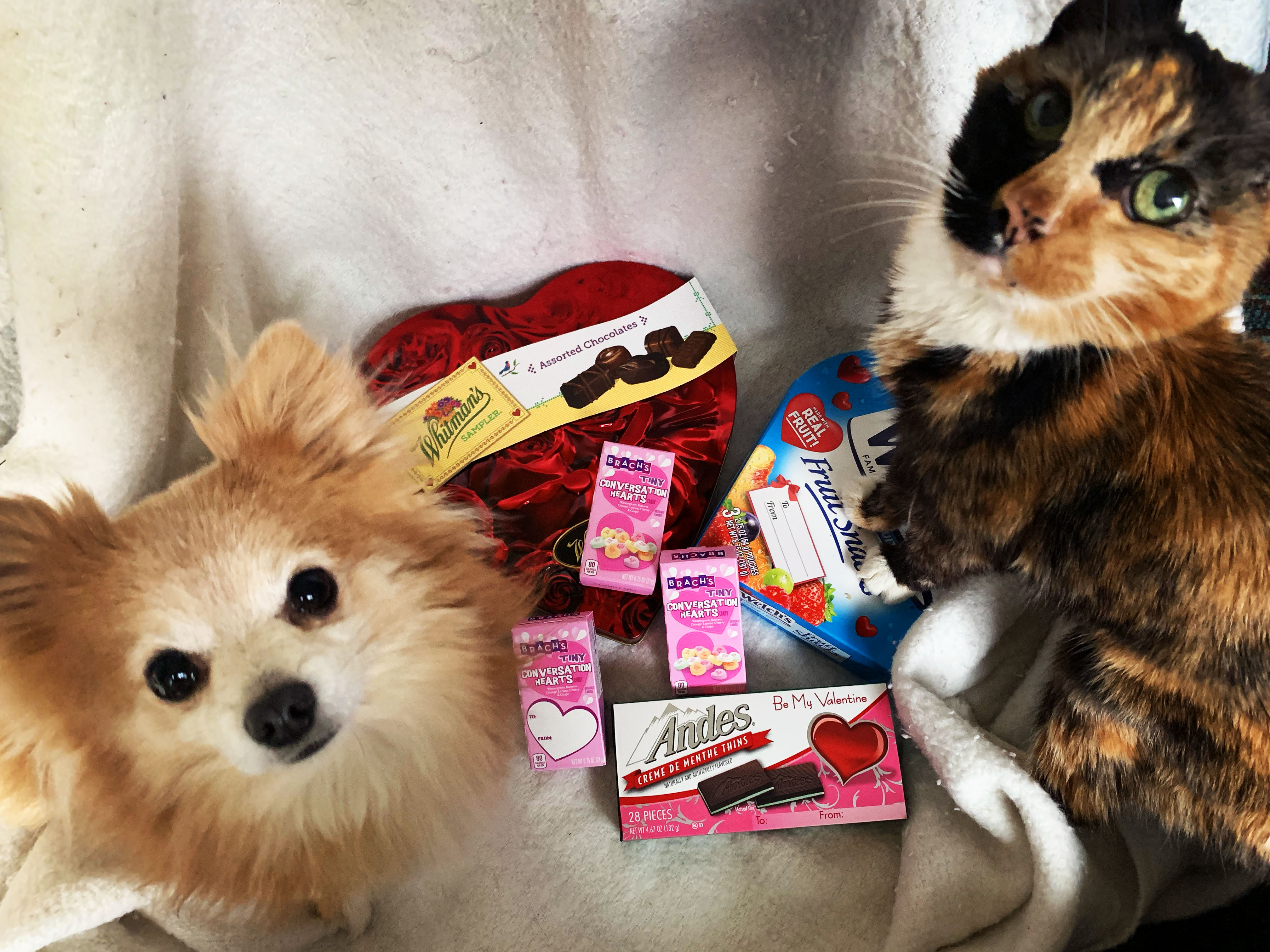 Celebrate the season of love with these activities