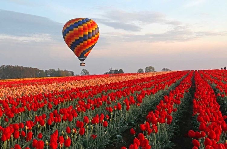 Enjoy the sunshine with these spring events