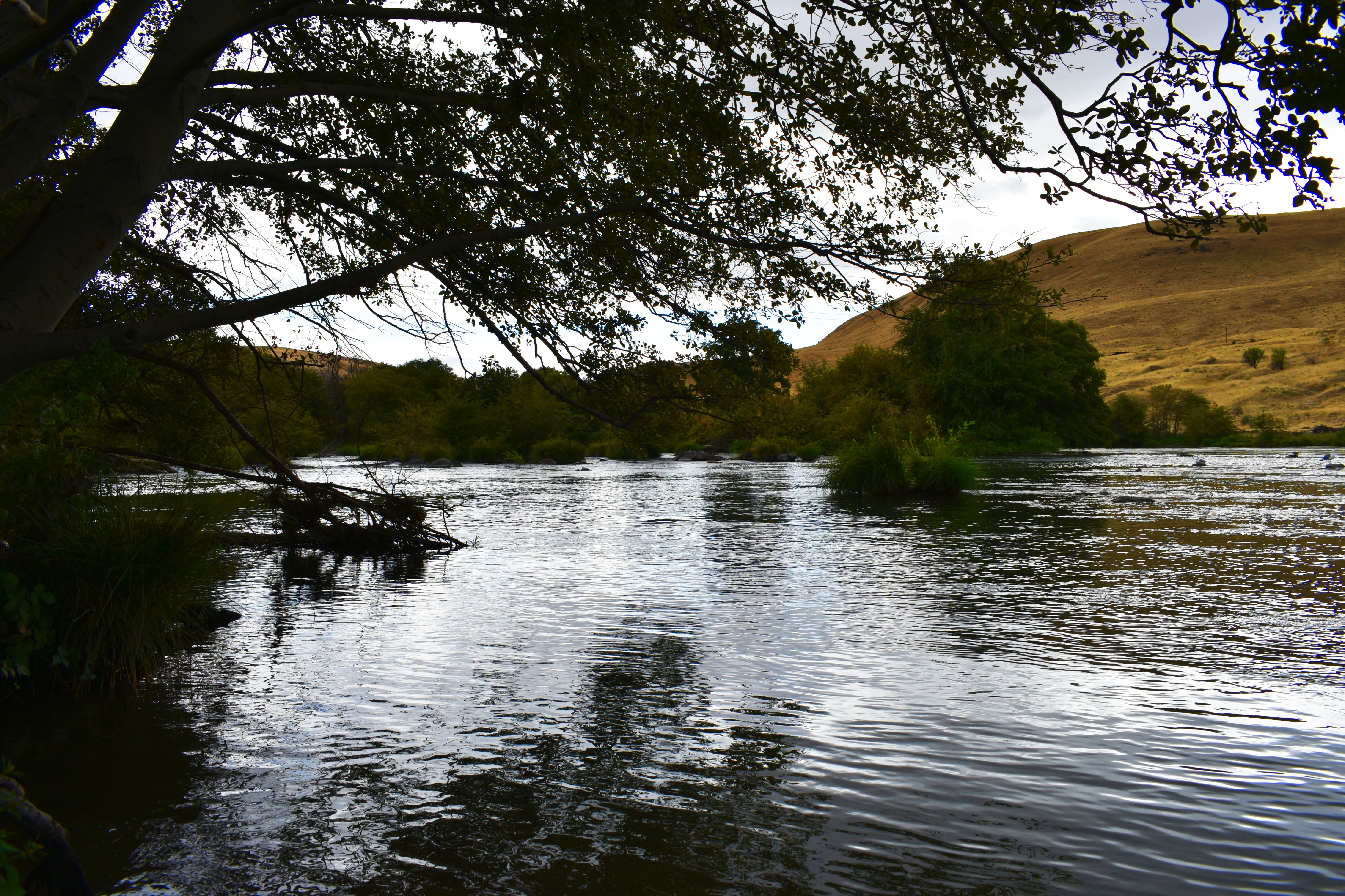 Capturing Earth’s Beauty