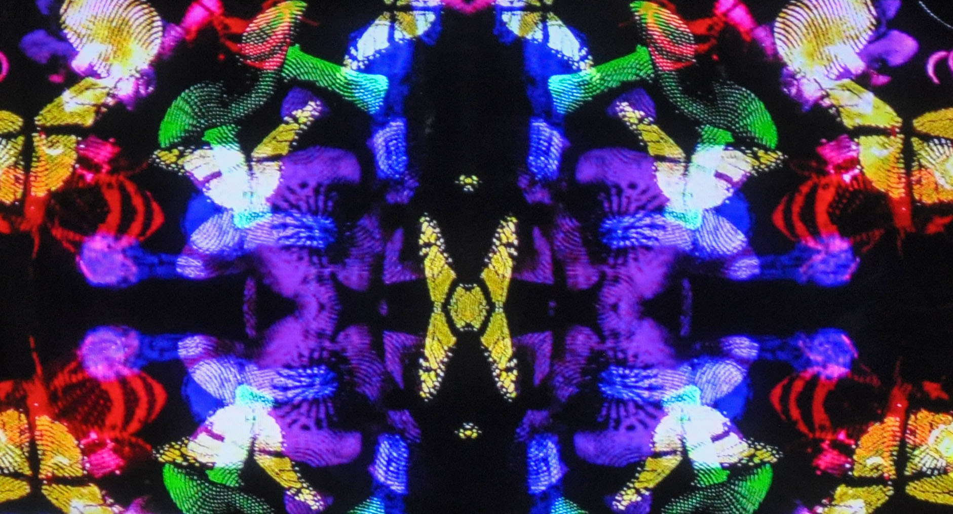 Big INK presents:What a Relief?