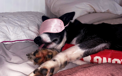 Sleep tips that will benefit ones life greatly