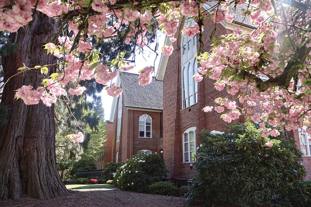 Campbell Hall with cherry blossoms, Western Oregon University campus