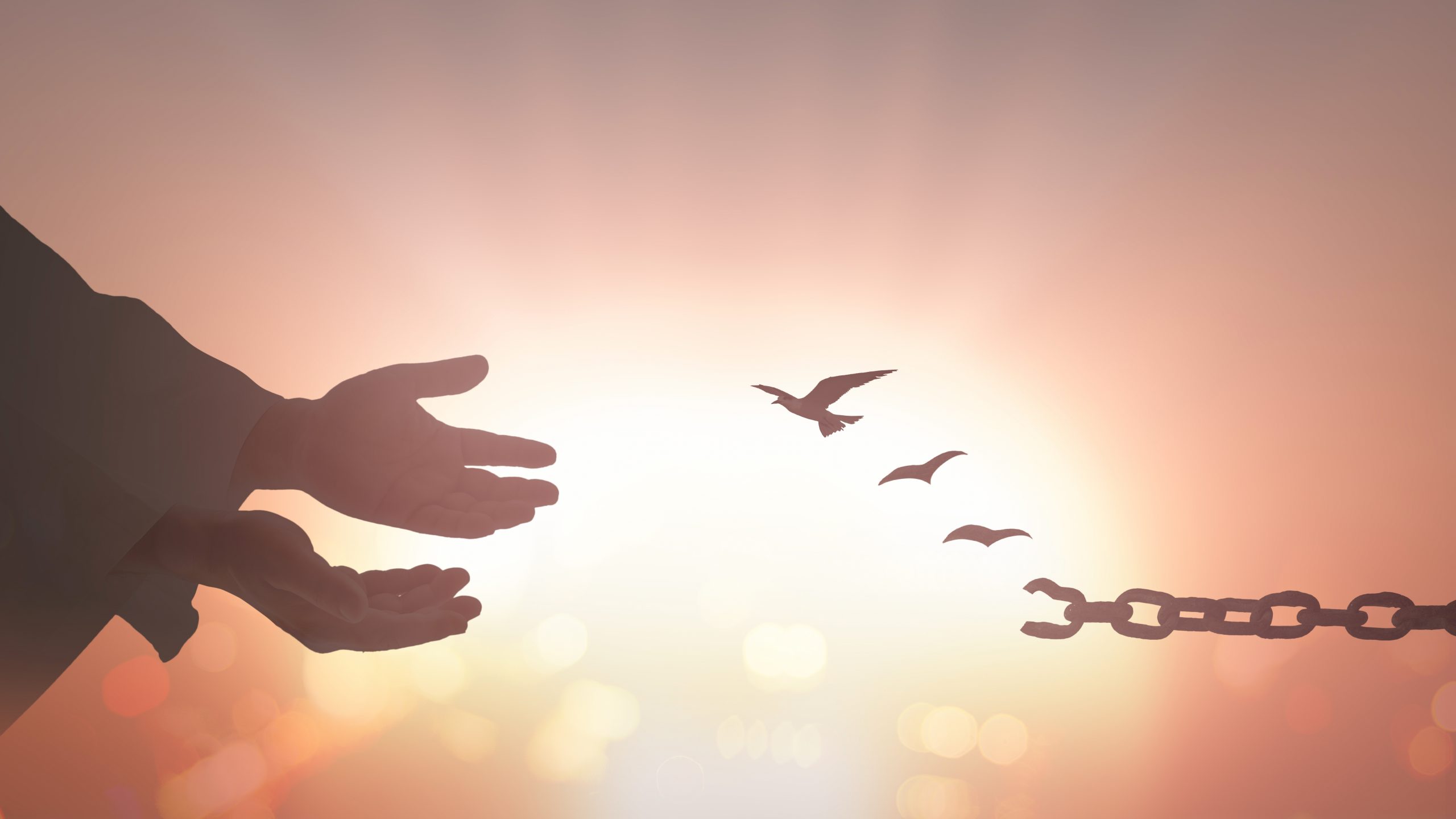 International,Day,For,The,Remembrance,Of,The,Slave,Trade,And wrjrc banner